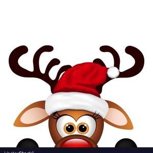 Meet your Posher, Fiona